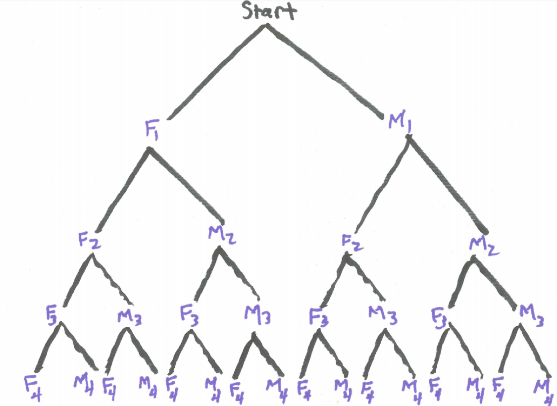 Tree Diagram for Four Kittens